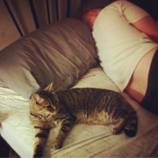 13. 몸집이 아주 작더라도 더블침대 50% 이상을 차지할 수 있다.