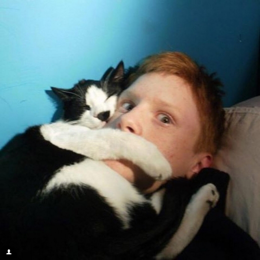 14. 아니면 당신 얼굴에 올라가 자려고 고집을 피운다.