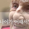 [카드뉴스] 103세에도 자원봉사하는 진짜 ‘원더우먼’