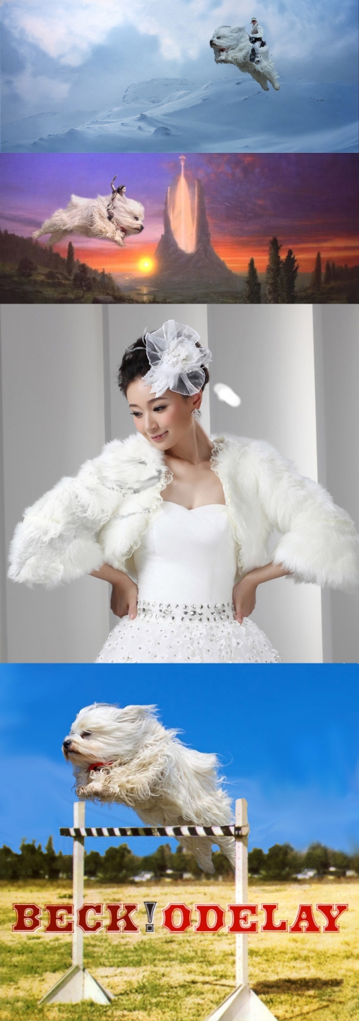 레딧 사용자의 추천을 많이 받은 수정된 사진들