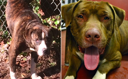 이틀만에 구조된 아테나(왼쪽)와 그녀의 곁을 지킨 제우스.