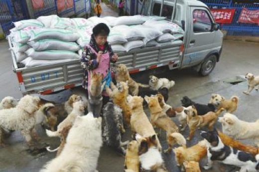 유기동물을 돌보는 천윈롄씨