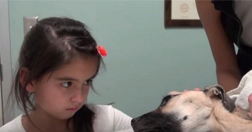 자원봉사자 소녀와 교감하고 있는 견공 ‘엔젤’