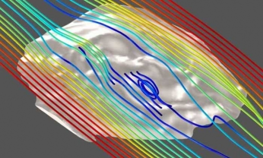 트리브라키디움의 유체 역학 시뮬레이션