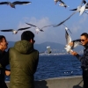 갈매기 붙잡아 ‘인증샷’ 찍는 中 관광객