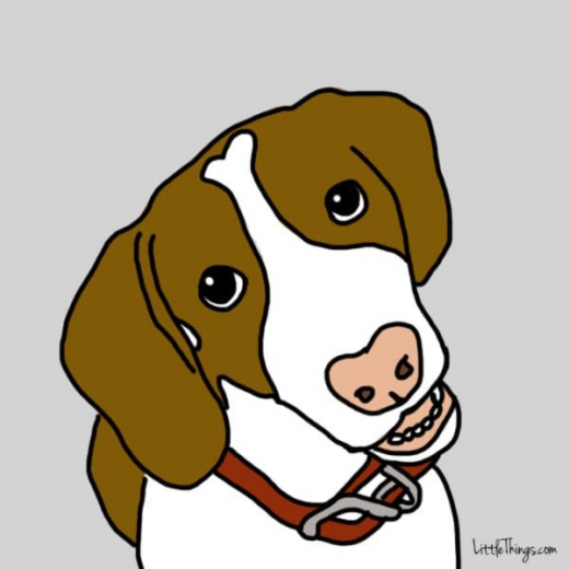 1. 가만히 눈을 응시해 온다