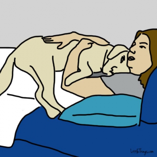 4. 식사 직후 품에 안긴다