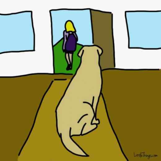 6. 외출 시 얌전히 바라본다