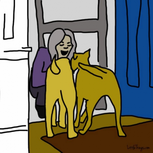 7. 귀가 시 꼬리를 흔들며 기뻐한다