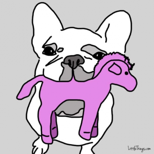 9. 좋아하는 장난감을 가져다 준다