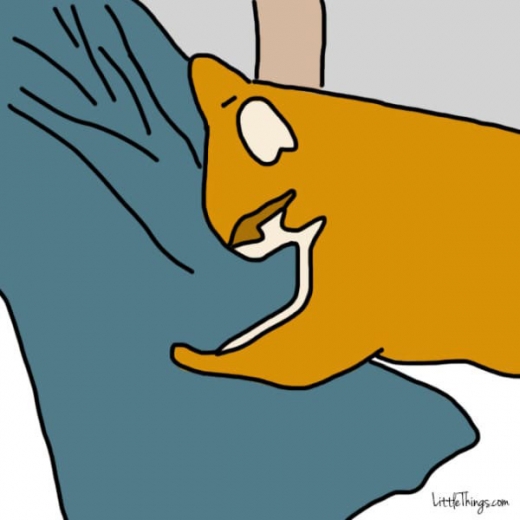 1. 당신 몸에 ‘꾹꾹이’를 한다