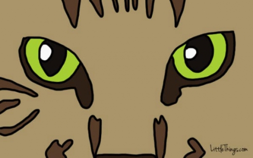 4. 가만히 눈을 응시해 온다