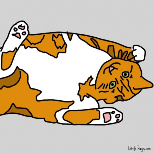 5. 당신에게 자신의 배를 보인다