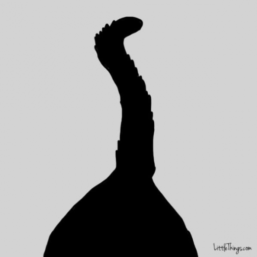 6. 꼬리 끝을 구부린다