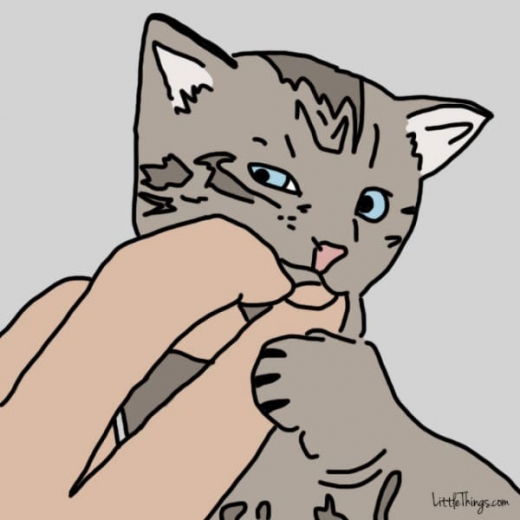 7. 당신 손을 깨문다