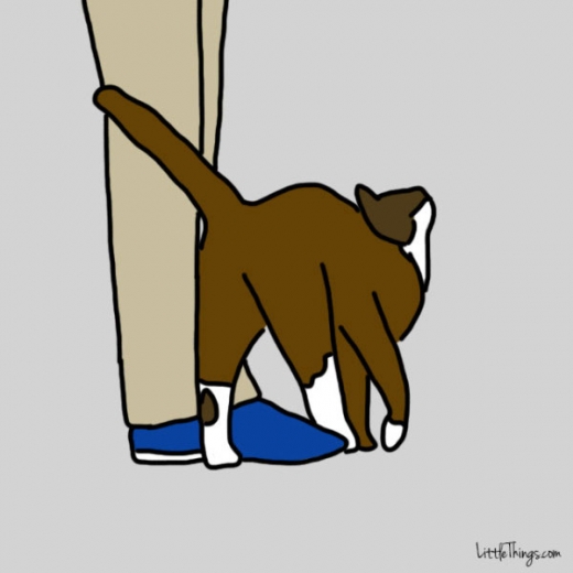 8. 당신 다리에 몸을 문지른다