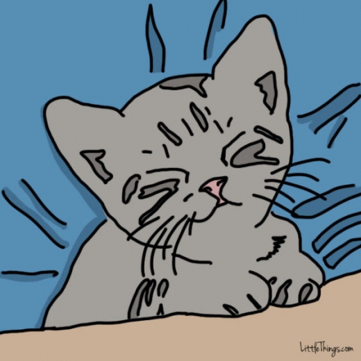 9. 가르랑거린다