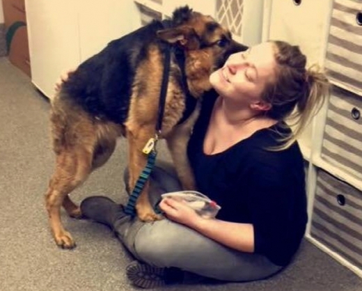 희귀한 척추장애를 가지고 태어난 독일산 세퍼드의 모습 (동물보호소 페이스북 캡처)