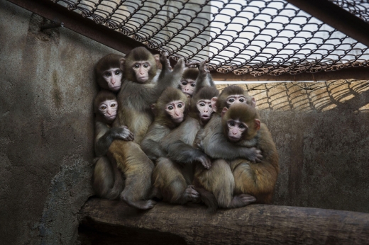 사진=게티이미지/멀티비츠 이미지