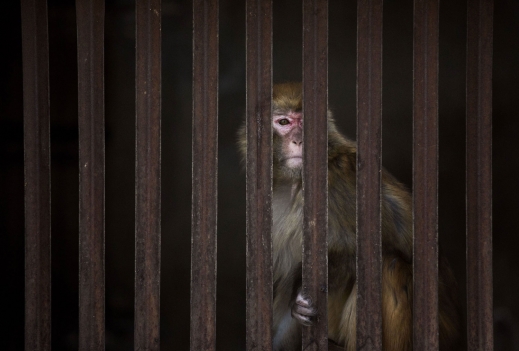 사진=게티이미지/멀티비츠 이미지