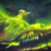 [지구를 보다] 초록빛 날갯짓…불사조 변신한 오로라 포착