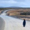 자동차 도로 위 혼자 걷는 ‘길 잃은 펭귄’