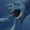“메갈로돈 멸종 이유는 먹잇감 감소와 경쟁자 등장”