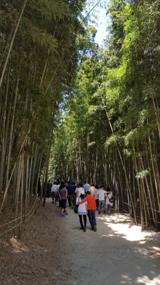 죽녹원의 길을 걷는 연인들. 이 곳은 데이트코스로도 적당하다.