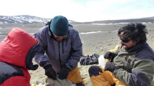 아르헨티나 라팜파 자연과학박물관 고생물학 조사팀 연구원들이 남극 현지에서 펠라고르니스 화석 발굴작업을 진행하고 있다.