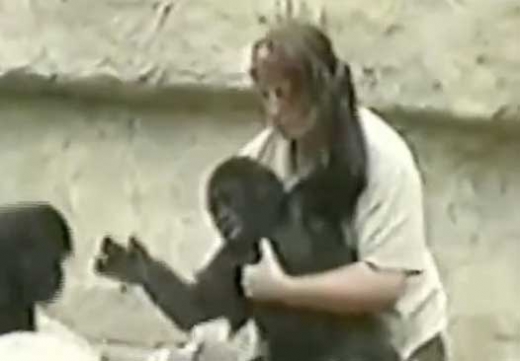 어린 시절의 하람비와 사육사