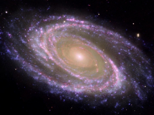 M81 은하