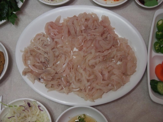 참가자미회 한 접시. 바다의 깊이를 애써 가리지 않고 바닷속 땅밑에 붙어다니던 이 녀석은 땅의 기운과 바다의 기운을 한몸에 지녔다.