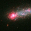 [우주를 보다] 우주를 헤엄치는 올챙이…은하 ‘키소 5639’ 포착