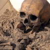 폴란드서 발굴된 한 많은 ‘뱀파이어 유골’ 일반 전시