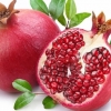 석류 속 노화 막는 열쇠…한국인 연구자 발견(연구)