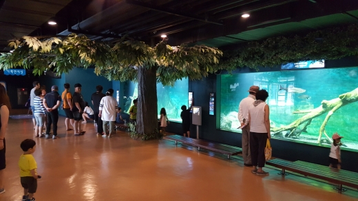 민물고기 생태체험관 내부. 남녀노소 누구나 익숙한 민물고기들이 있어 누구나 부담없이 관람할 수 있다. 특히 어린이를 동반한 가족이라면 교육장소로도 손색이 없다.