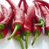 매운 음식 뒤에는 ‘○○’가 최고 (연구)