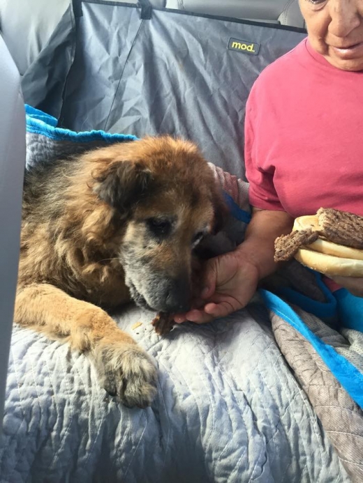 햄버거를 나눠먹고 있는 솔로비노와 헤수시타의 모습.