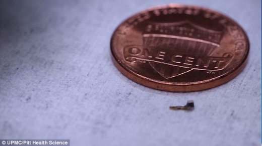 현재 개발된 센서는 근육과 말초신경계에 삽입할 만큼 작다.