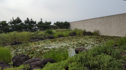 지니어스 로사이에 있는 인공 연못. 제주의 삼다를 품듯 노출된 콘크리트 벽체와 길게 뻗은 보도 옆 현무암들이 보인다.
