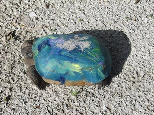 예쁘지만, 치명적일 수 있는…