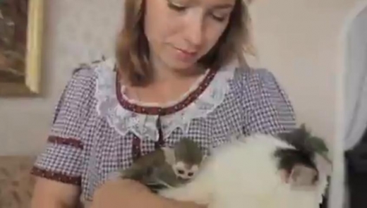 안트로포바가 고양이를 안을 때도 절대 떨어지는 법이 없다.(사진=영상 캡쳐)