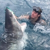 백상아리 코 만지는 잠수부... ‘생존 위해 쓰다듬어?’