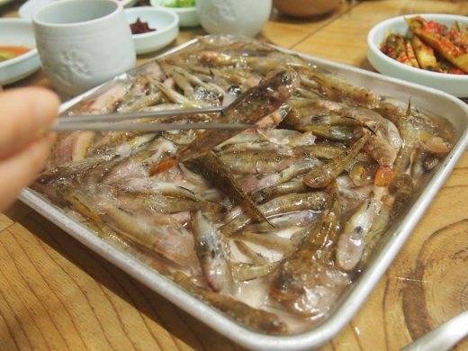 뚜거리. 시인들이 입을 모아 칭찬한다. 바다를 끼고 있는 속초 양양이기에 민물고기의 몸값이 상대적으로 올라갈 수 있을 법하다. 바닷고기들은 재료 본연의 맛으로 승부한다면, 민물고기는 어머니의 장맛으로 대표되는 고향의 기억이 아로새겨져 있기에 더 애틋한 맛이다.