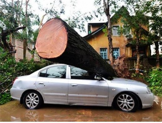 중국정부는 16호 태풍으로 인한 추가 피해를 막기 위해 황색경보를 발령했다.