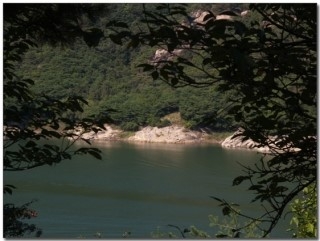 물 건너 빠꼼한 곳이 두향의 묘이다. 물 아래에는 퇴계 와 노닐던 강선대가 잠겨 있다.