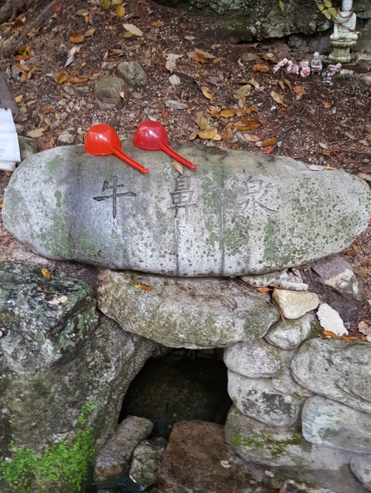 청암사에 오면 반드시 마셔야 한다는 우비천. 소의 코부분에서 나오는 샘이라는 뜻으로 부자가 된다는 속설을 지니고 있어 관람객들의 사랑(?)을 받기도 하지만, 스님들은 지나갈 때 눈을 가리고 지나가는 곳이다.