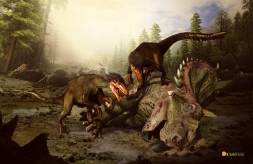 보레오니쿠스(Boreonykus certekorum)