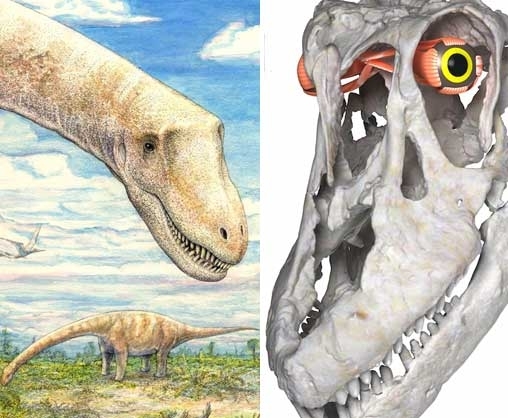 사르미엔토사우루스(Sarmientosaurus)