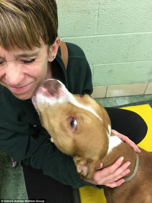 자신을 구해준 자원봉사자에게 애정을 드러내는 올리-루.